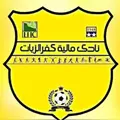 مالية كفر الزيات